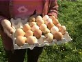 Notre ferme pédagogique - episode4 - Un matin ordinaire Notre ferme pédagogique - episode4 - Un matin ordinaire