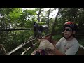 Monkey Jungle Zip Wire