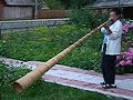 Tulnik Tulnik