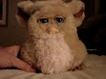 Furby Furby Furby # 6