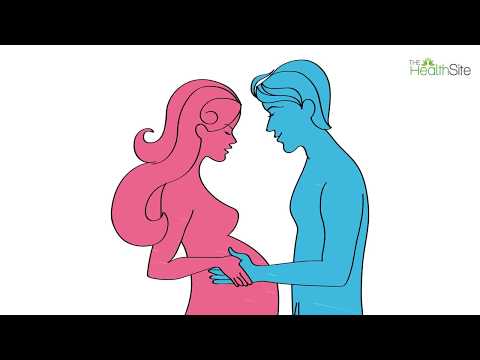 Clip cock lover mature sex Asshole who couldn t sweet talk the princess