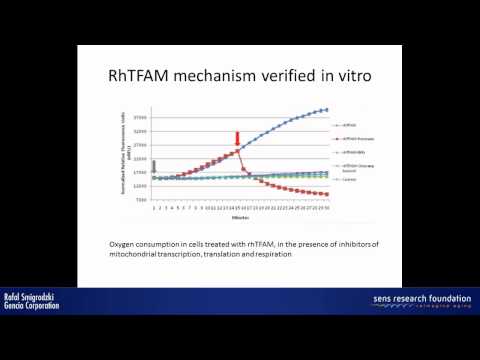 Targeted mitochondrial therapeutics in aging – Rafal Smigrodzki