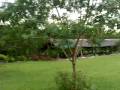 FAREWELL ECO PARK