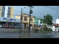 M2U01471 - árvore caída sobre a Avenida Iguaçu em Curitiba M2U01471 - árvore caída sobre a Avenida Iguaçu em Curitiba