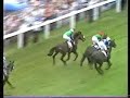 Golden Fleece 1982 Epsom Derby Golden Fleece 1982 Epsom Derby