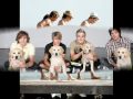 McFly - We Are The Young McFly - We Are The Young