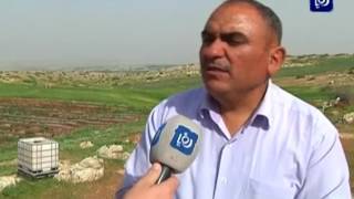 أبناء قرية بردلة بالاغوار الفلسطينية يزرعون أراضيهم لأول مرة منذ 67 - (7-4-2017) أبناء قرية بردلة بالاغوار الفلسطينية يزرعون أراضيهم لأول مرة منذ 67 - (7-4-2017)