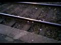 Suicide des soldtas du front xD Suicide des soldtas du front xD