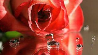 dini klip 1.wmv