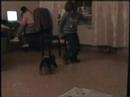 Girouette Girouette