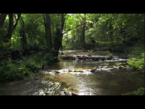Aerial Shots - beautiful drone aerial shot.