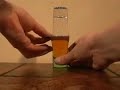 Science Experiment