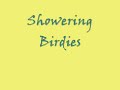 Showering cockatiels. They're misted with spray bottle.