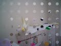 Showering cockatiels. They\ Showering cockatiels. They\