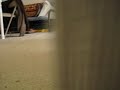 Charging Cat