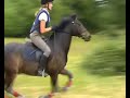 Bigberry XCountry Practise P2