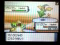 Pokemon Wi-Fi Battle ジキルvsプレシオ