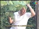 VIDEOMATCH - Camara Infraganti Toldero Vol 1