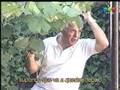 VIDEOMATCH - Camara Infraganti Toldero Vol 1