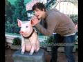 30 Things You Don't Know About Logan Lerman