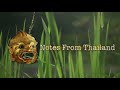 16 Degrees North, 102 Degrees East - Our land in Khon Kaen, Thailand