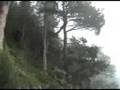 videos de Grasshopper