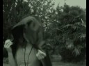 Conjurations mortelles