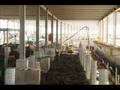 August 2008 YWG Construction Photos: Part Two