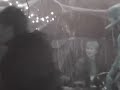 Hybrid Moments-The Falls
