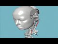 Björk and Chris Cunningham interview Björk and Chris Cunningham interview