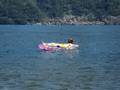 videos de Metallaro sul Lago di Como