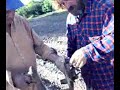 Taller de Huerta 6