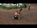 Cum Laude Nell in Amateur Pleasure Driving Mares at Morgan GN
