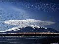 hayastan masis