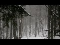 JOY To The World | God Came | basic