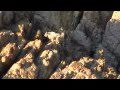 Mountain Goats in the Spring