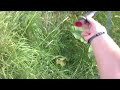 Click here to watch this video Black Vlinder80 vs Retorno70