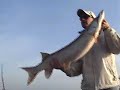 Insight Muskie trip 11-08