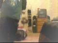 videos de SHADY(C-WALK--ADVANCE).wmv