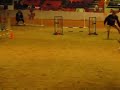 HOTC - 11-09 - Adrenalyn Ex B Std NQ