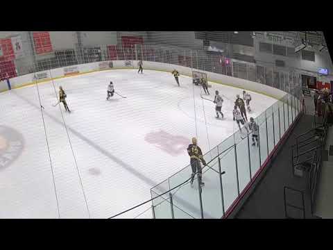 2019 - 20 Penguins Elite Highlights