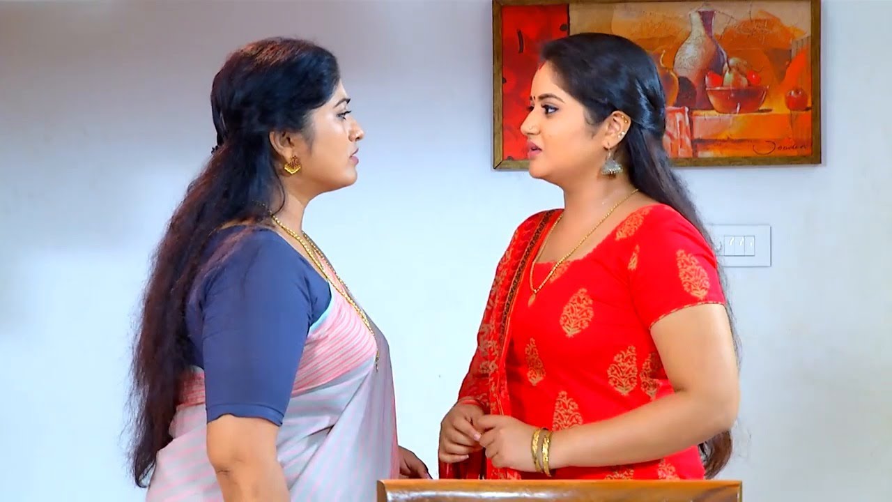 Bhagyajathakam July 16,2016 Epi 254 TV Serial