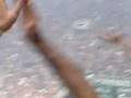 videos de GATE 13  PAO