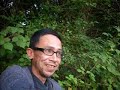 AT thru-hike:  camping in a cornfield south of Duncannon