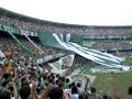 Camisão coxa