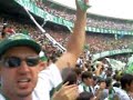 Camisão coxa