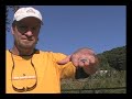 How to Coin Snatch How to Coin Snatch