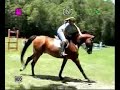 U. S. America Schooling Over Fences