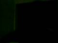videos de Levantando al Alex