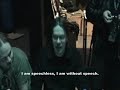 tour diary part 3. from the european tour with unleashed and krisiun.